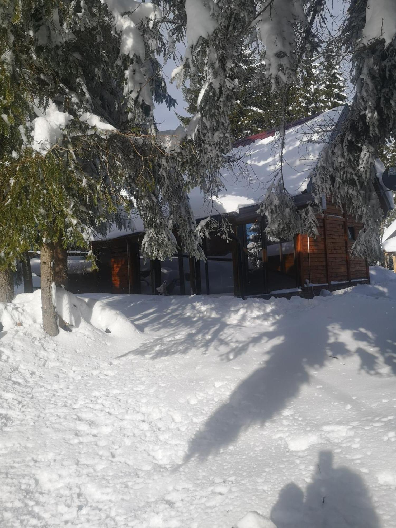 Villa Brvnare Krstigora à Zaovine Chambre photo