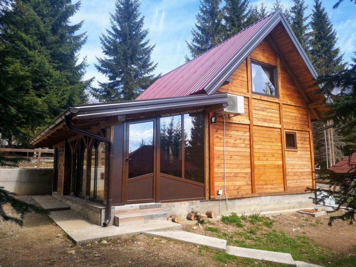 Villa Brvnare Krstigora à Zaovine Extérieur photo